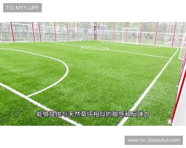 从足球为何不能直接踩踏草坪谈运动场地养护与科学管理实践方法探
